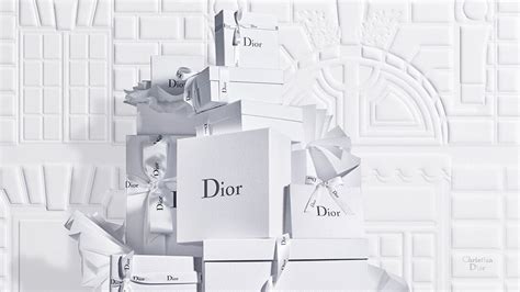 Dior usa website